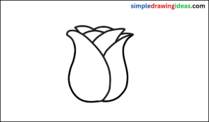 how to draw a Rose