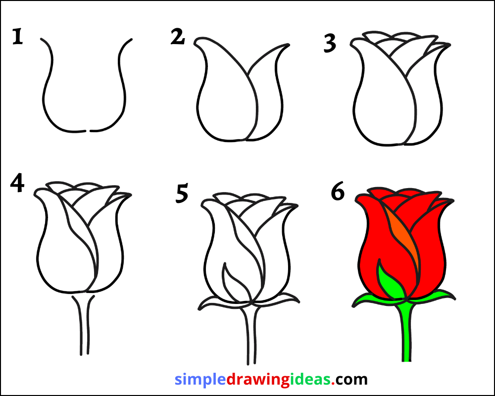How to draw a Rose step by step - Simple Drawing Ideas