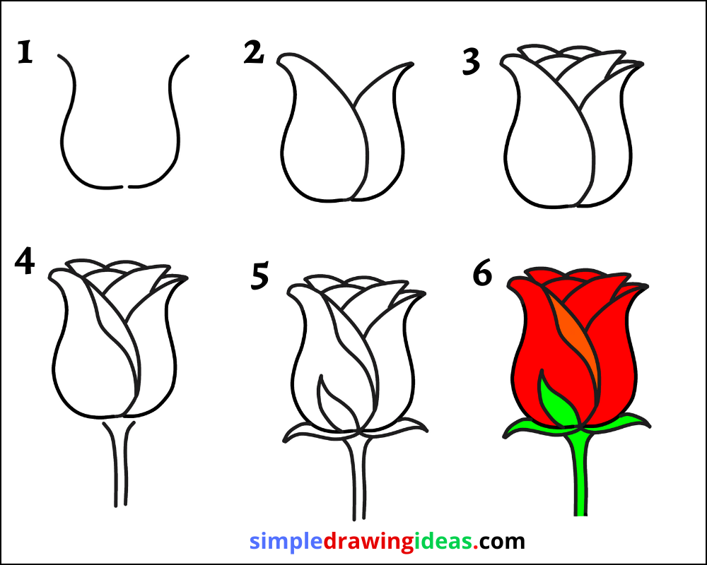 How To Draw A Rose Step By Step - Simple Drawing Ideas