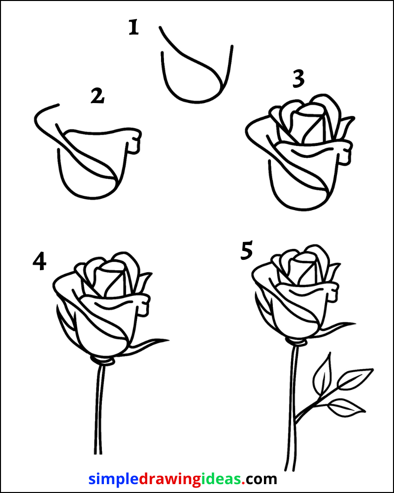 How To Draw A Flower Step By Step - Simple Drawing Ideas