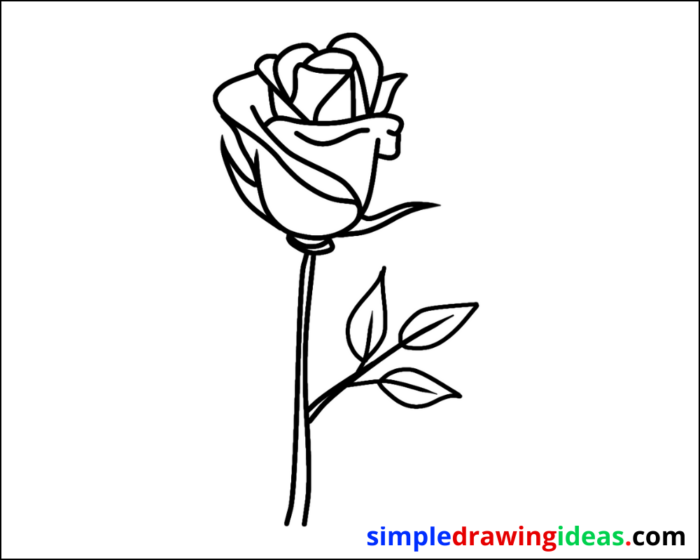 flower drawing