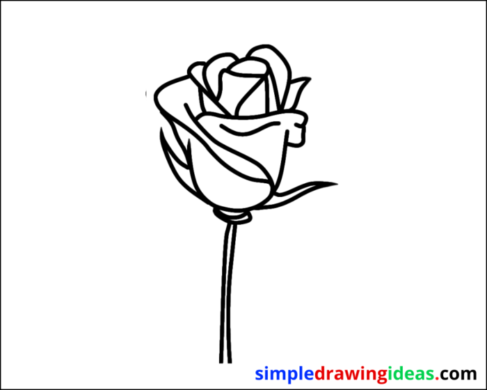 flower drawing