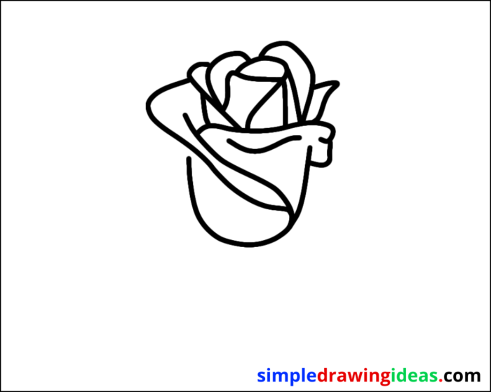 flower drawing