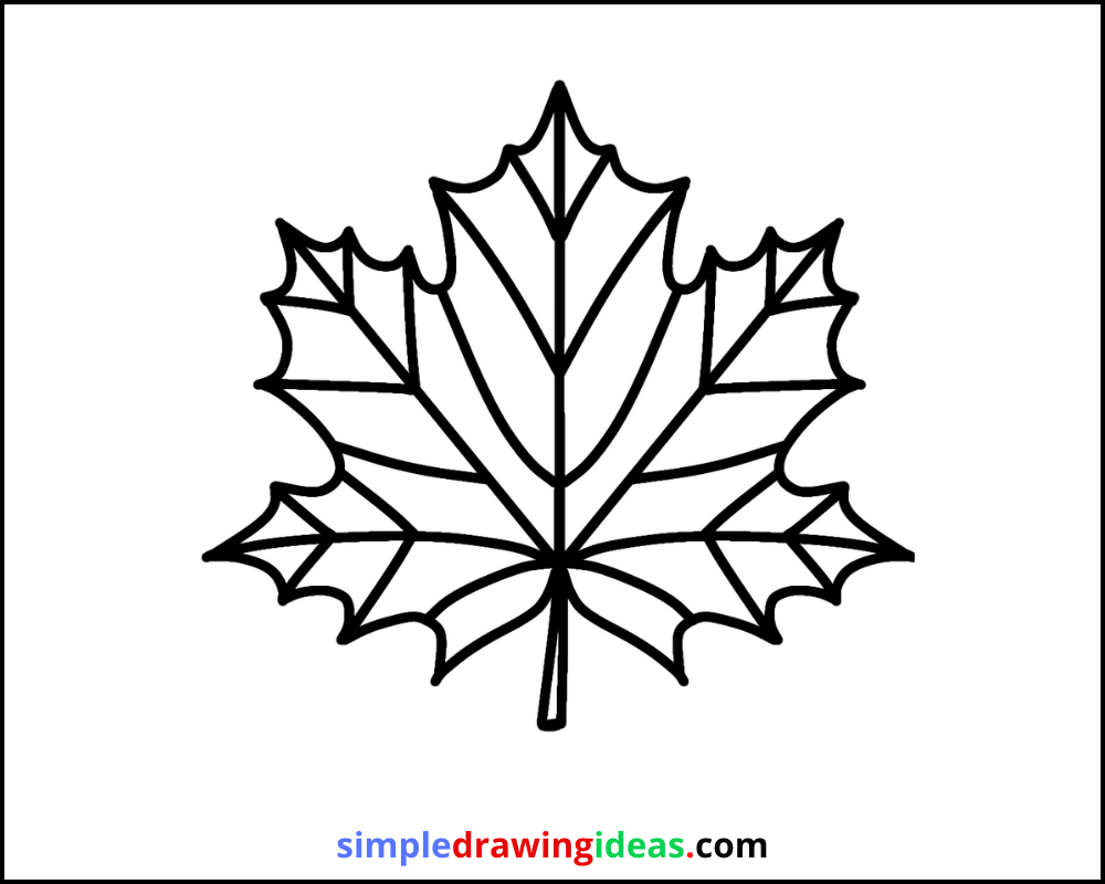 How to draw a leaf